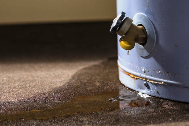Best Flood damage cleanup  in Succasunna, NJ