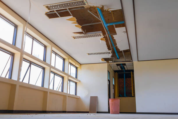 Best Water damage restoration near me  in Succasunna, NJ