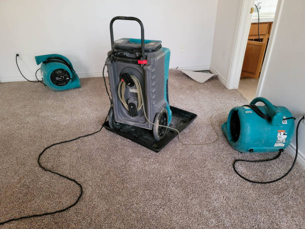 Best Water damage contractors near me  in Succasunna, NJ