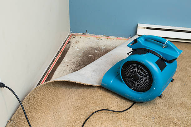 Best Water damage restoration near me  in Succasunna, NJ